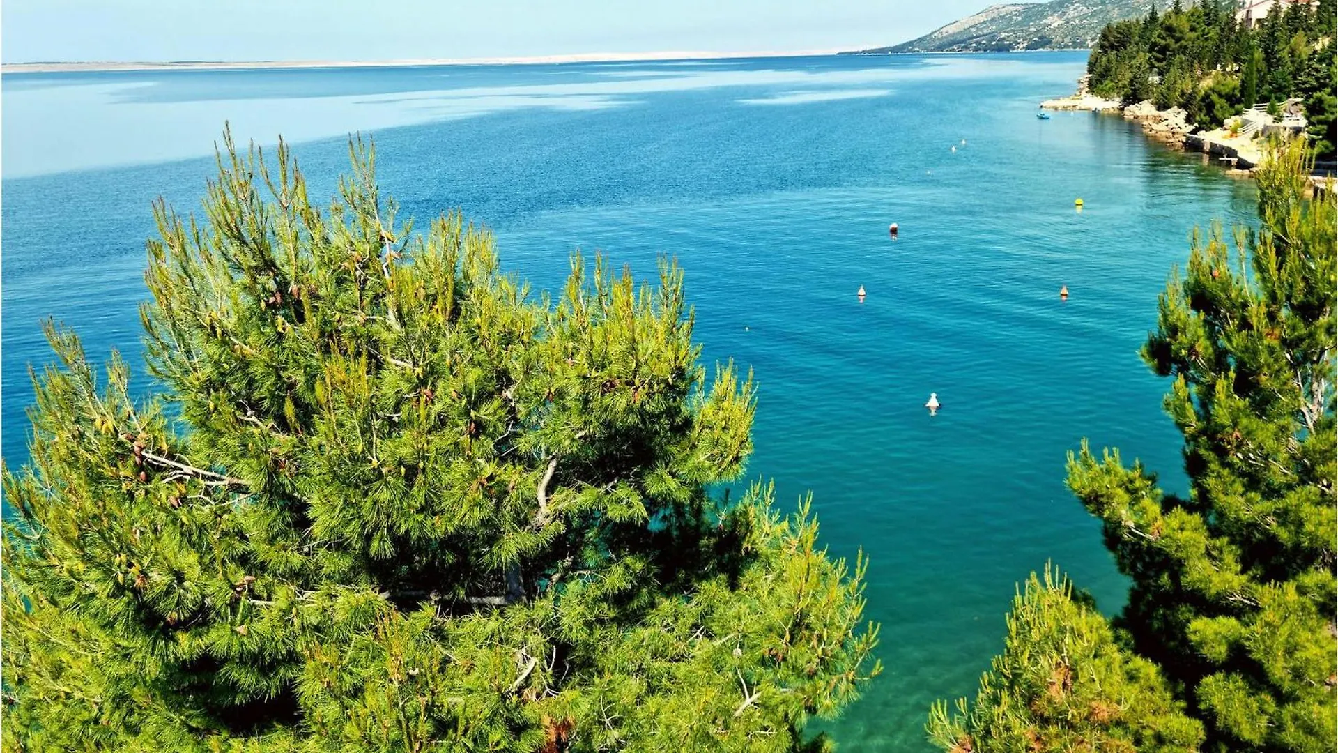 Holiday home Villa Neptune Starigrad Paklenica Croatia